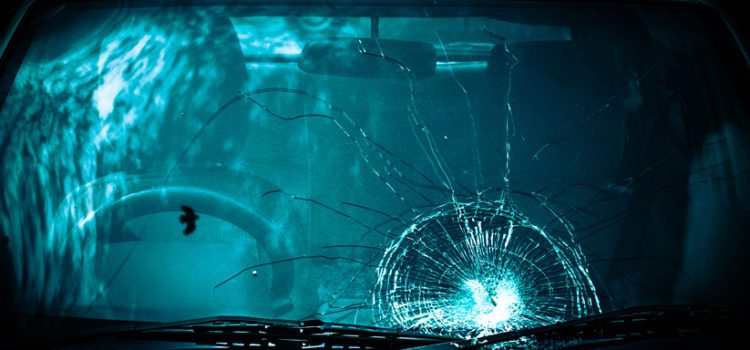 Auto Glass Repair Company